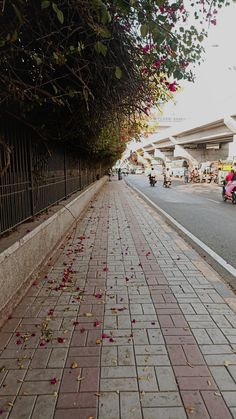 the sidewalk is lined with red flowers on it and people are riding motorbikes in the background