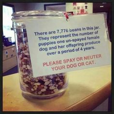 a jar filled with dog food sitting on top of a wooden table next to a sign that says, there are 717 beans in this jar they represent the number of puppies