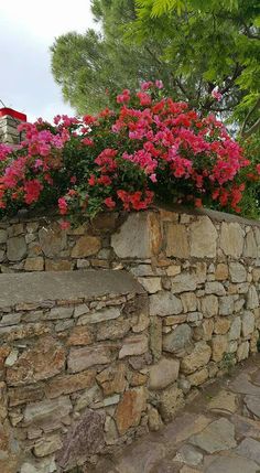 a stone wall with pink flowers growing on the top and bottom, along side it