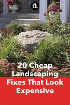 the front yard with flowers and plants on it, text reads 20 cheap landscaping fixes that look expensive