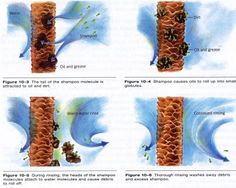 Understanding Shampoo & It's relevence to the pH scale... This explains everything about shampoo and it's natural reaction with your hair. Strands Hair, Porous Hair, Color Knowledge, Shampoo Reviews, Hair Clinic, Cosmetology School, Skin Disorders, Assignment Help