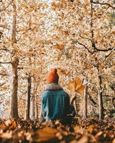 a person sitting on the ground in front of trees with leaves all over them and wearing a red beanie