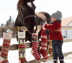 a little boy standing next to a horse in the snow with christmas stockings on it's feet