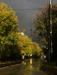 a city street with trees lining both sides and a dark sky in the back ground