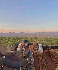 two horses are standing in the grass with mountains in the backgrouds behind them