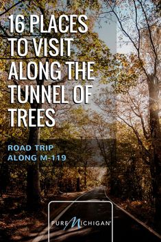 a road with trees and the words, 16 places to visit along the tunnel of trees