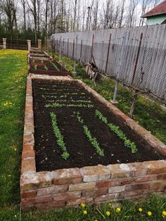 the garden is ready to be planted and put into the ground with dirt in it