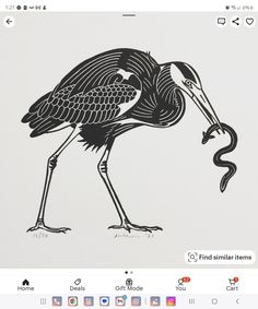 an image of a bird with a snake in it's beak on instagram