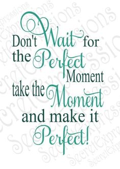 the words don't wait for the perfect moment to take the moment and make it perfect