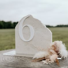 a stone grave with a feather on it in the middle of a grassy field next to a sign that says o