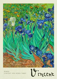 an image of blue irises in the garden with words written below them that read, irises vincent van gogh 1853