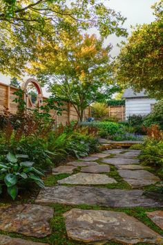 a stone path in the middle of a garden