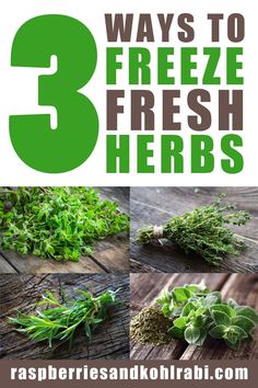 three ways to freeze fresh herbs