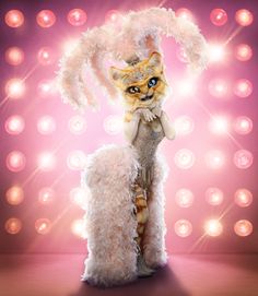 a cat dressed up as a furry animal with feathers on its head and legs, standing in front of a pink background