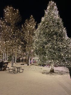 the trees are lit up and ready to be used as christmas decorations in the park