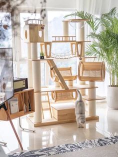 a cat standing in front of a tv on top of a wooden shelf next to a potted plant