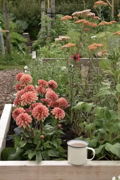 a cup of coffee sitting on top of a wooden table next to flowers and plants