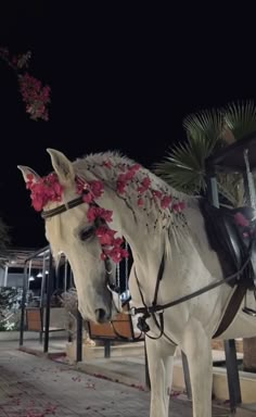 a white horse with pink flowers tied to it's bridle