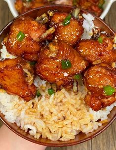 a person holding a bowl filled with rice and meat