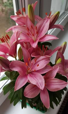 pink flowers are in a vase on a window sill