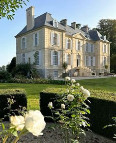 a white rose in front of a large house