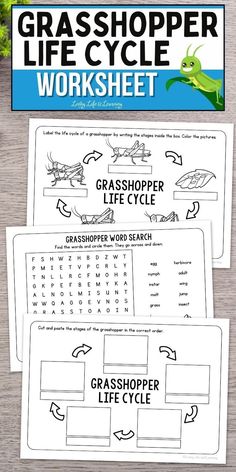 the grasshopper life cycle worksheet is shown on top of a wooden table