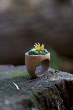 Hand crafted wooden ring with embroidery, wool and beads.  Absolutely one of a kind piece of jewelry that will attract all attention. Comes only in one size. It's recommended to take off the ring when you wash your hands.  Diameter 19mm Height 3cm width 2.5cm Moss Embroidery, Moss Jewelry, Forest Magic, Magic Jewelry, Cnc Ideas, Fairy Forest, Wooden Ring, Forest Fairy, Wooden Rings