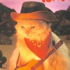 a cat wearing a cowboy hat and holding a guitar in front of a desert background