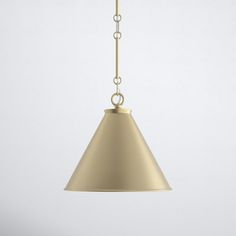 a brass colored pendant light hanging from a chain