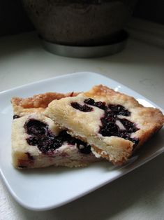 two pieces of blueberry pie on a white plate