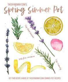 watercolor illustration of lemons, lavender and rosemary with the words spring summer pot