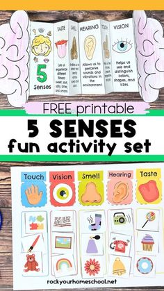 the five sensess activity set for kids to learn how to read and understand their body