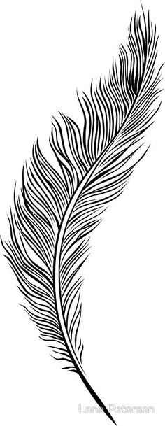 a black and white drawing of a feather