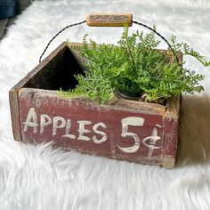 a wooden box with some plants in it on a white furnishing area that says apples 51