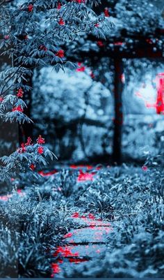 a path in the woods with red lights coming from it and some bushes growing next to it