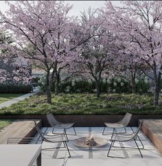 an outdoor seating area with tables and chairs in the foreground, surrounded by blooming trees