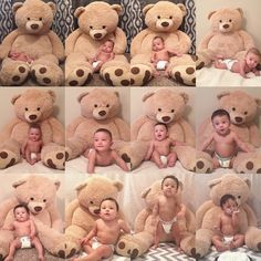 multiple pictures of babies with teddy bears