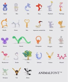 an animal font with different types of animals and letters on it's front cover