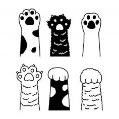 four different types of feet and paws with one foot sticking out from the other side