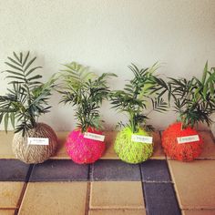 three planters with plants in them sitting on the ground