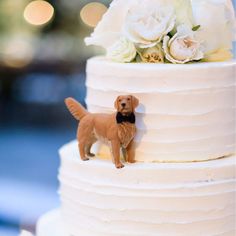 a small dog figurine on top of a white tiered cake with flowers