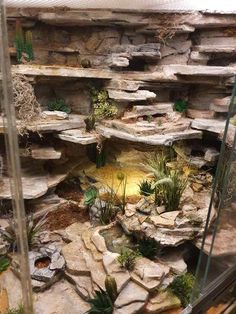 an indoor garden with rocks, plants and water features in the corner of the room