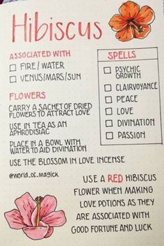 Hibiscus Flower Witchcraft Uses, Hibiscus Flower Witchcraft, Magical Properties Of Hibiscus, Hibiscus Flower Magical Properties, Herbalist Journal Ideas, Hibiscus Witchcraft, Hibiscus Magical Properties, Hibiscus Herb, Witchcraft Herbs