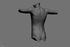 Animated Anatomy, Male Anatomy, Male Torso, How To Express Feelings, Body Reference, Anatomy Reference, Back Exercises, Action Poses