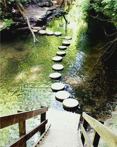 there are many stepping stones in the water on this wooden path that goes down to the river