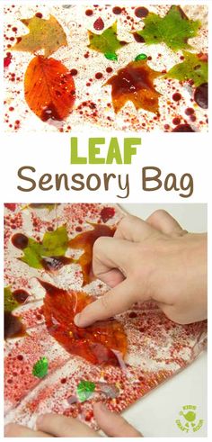 the leaf sensory bag is an easy fall activity for toddlers to learn how to use it