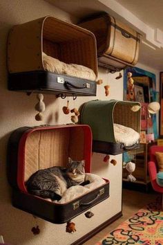 two suitcases are hanging on the wall with cats sleeping in them and one cat is laying inside