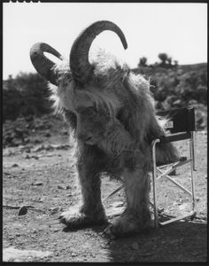 an animal with long horns standing next to a chair in the dirt and looking at something