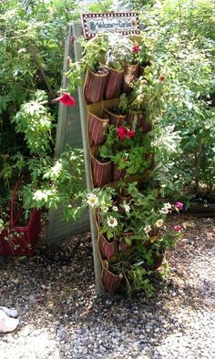 an outdoor garden with flowers and plants growing on it