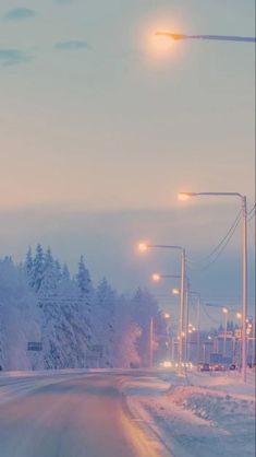 a snowy road with street lights and snow covered trees